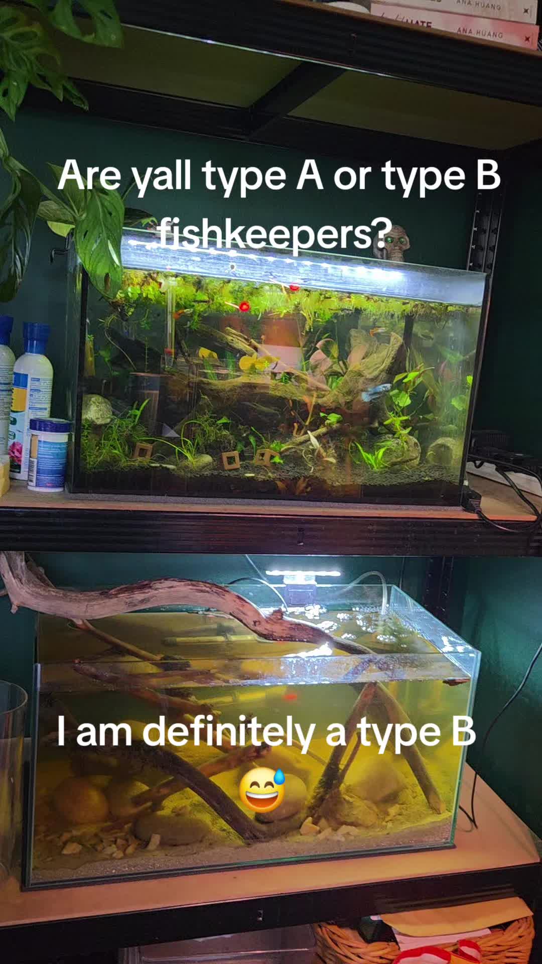@ella aquatics