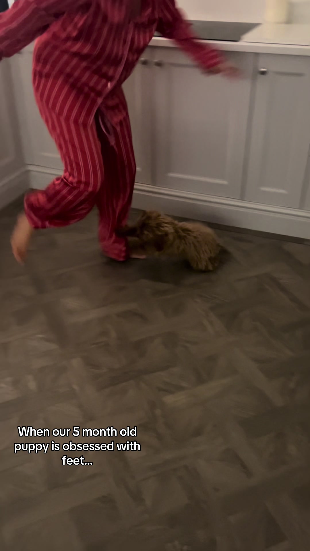 @lexgrace08