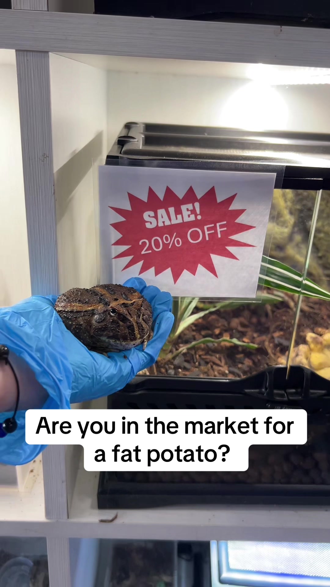 @Don’s Tropical Pets and Plants