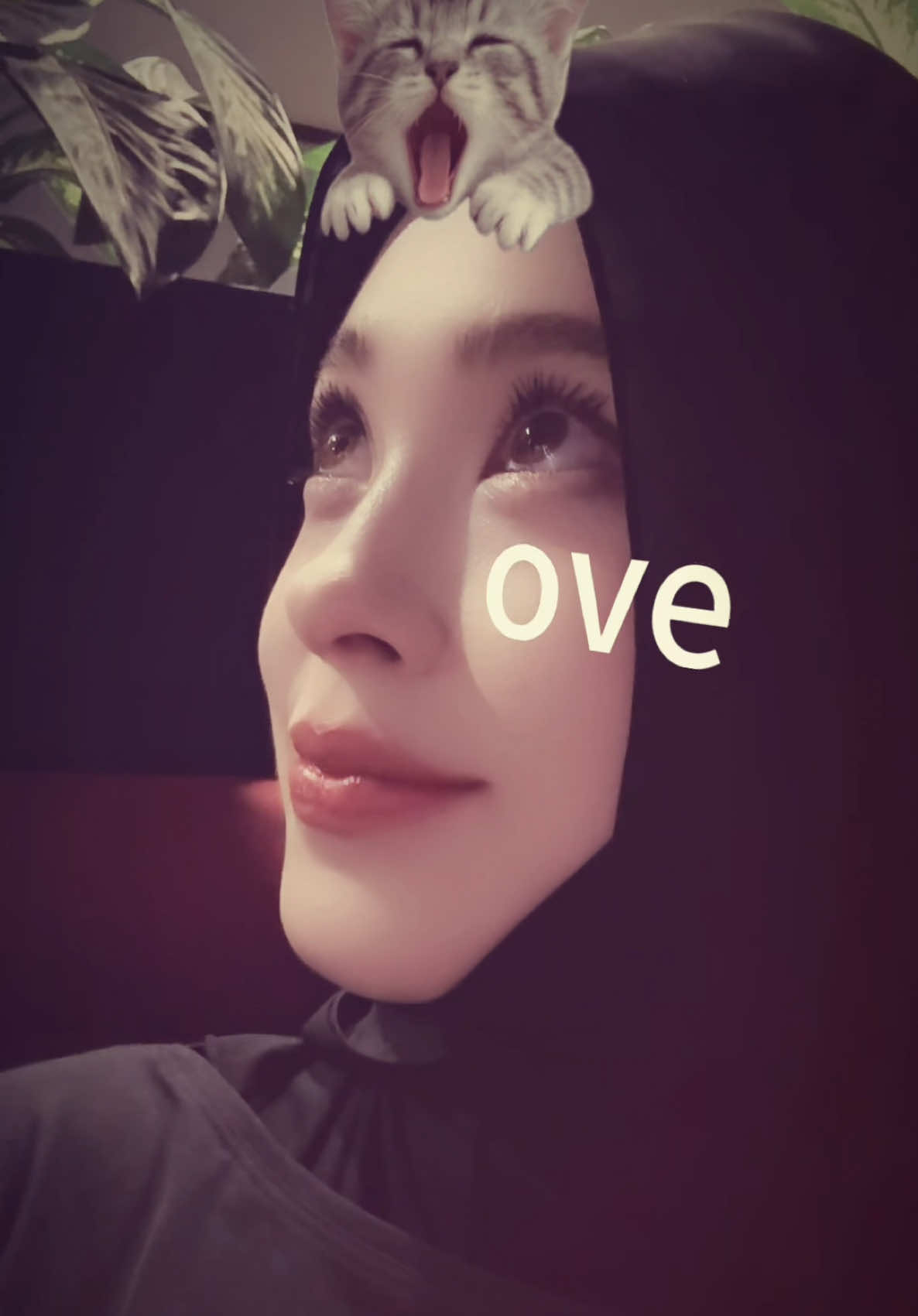 @Asel عسل 아셀