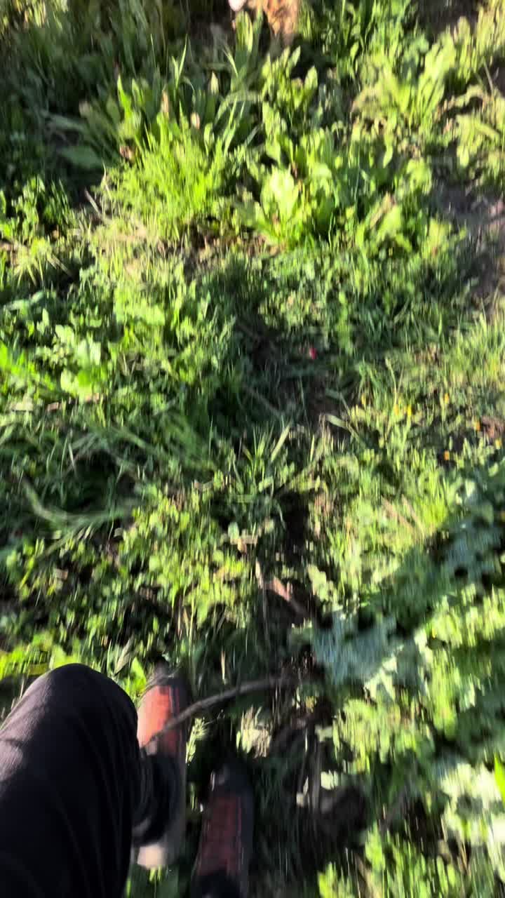 @Angelo.Pitzalis