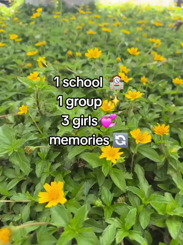 @တီကောင်🪱