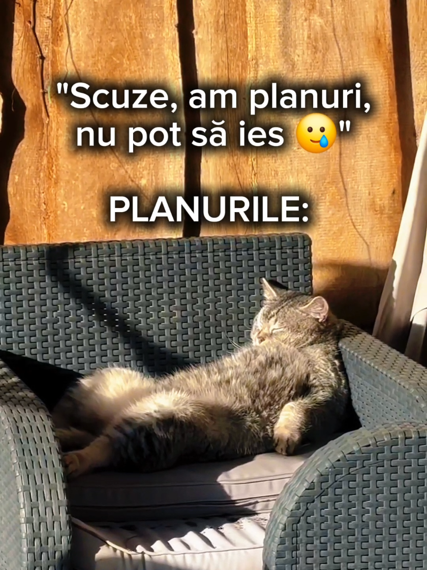 @Adina Manda
