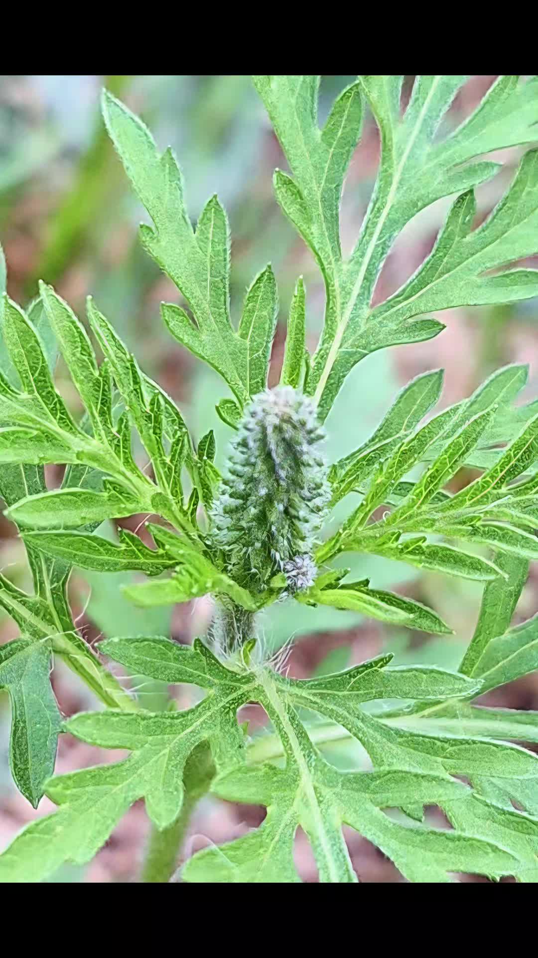 @Natur und Garten