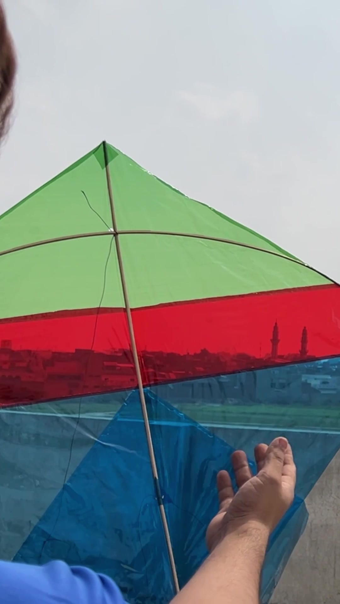 @Tarzan Kites
