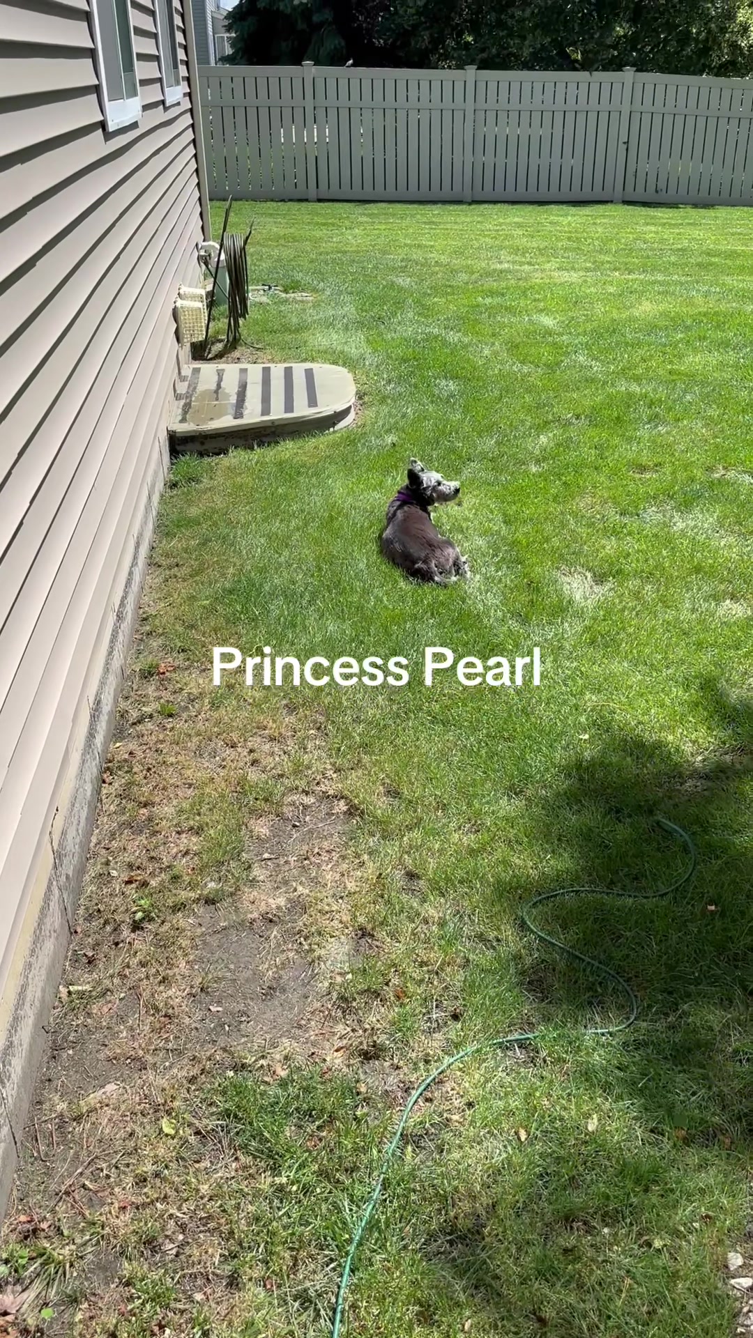 @disneyautismmom