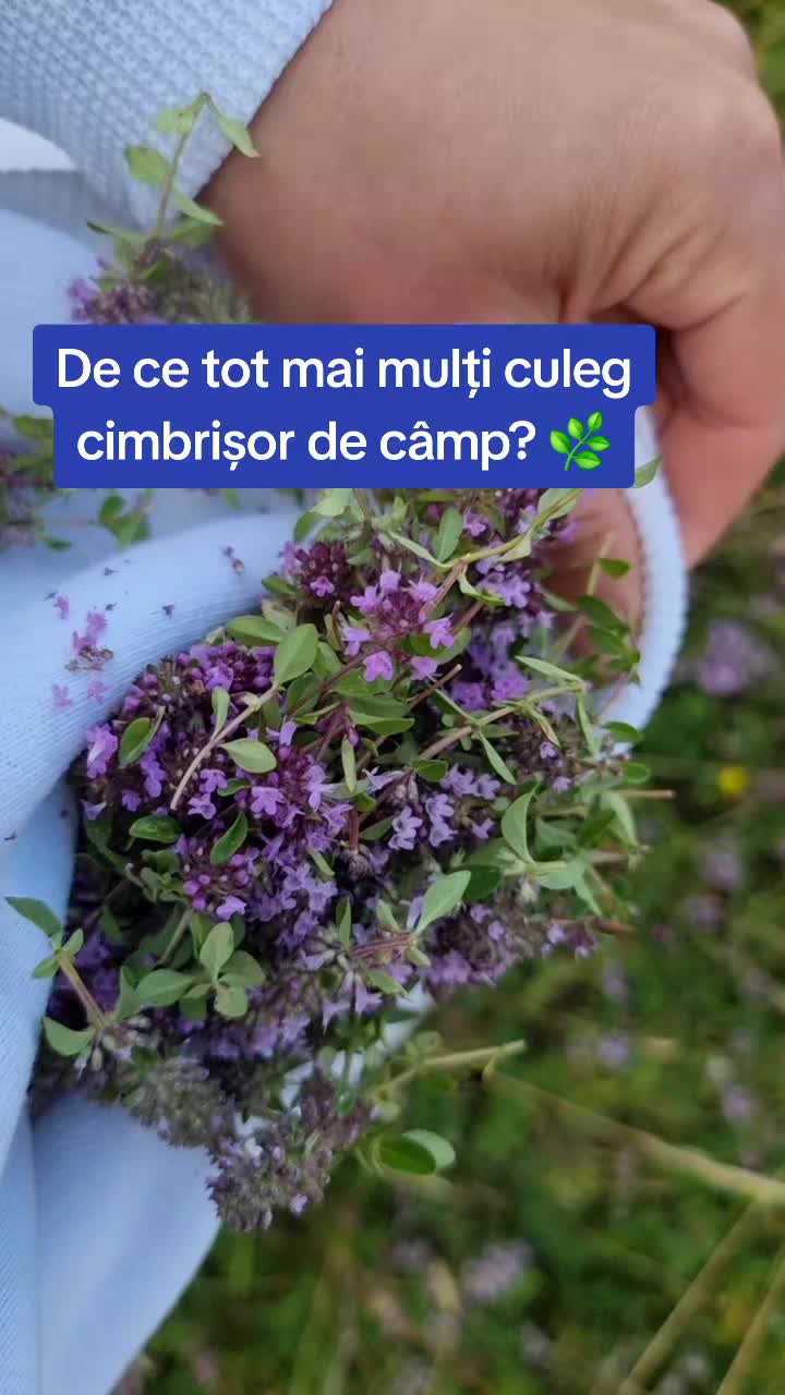 @🍎Din natură & Din tradiție