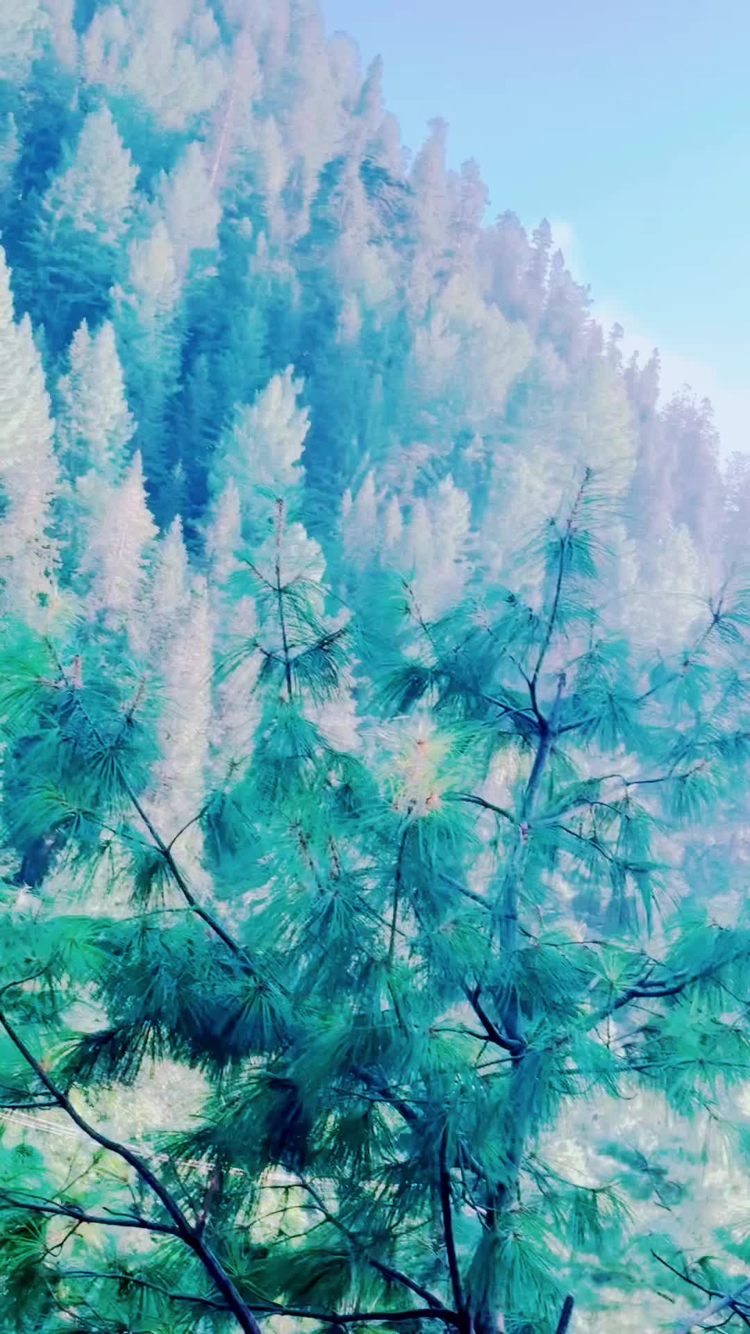 @𓄂🇺sᴀᴍᴀ 🇯ᴜᴛᴛ𓅆