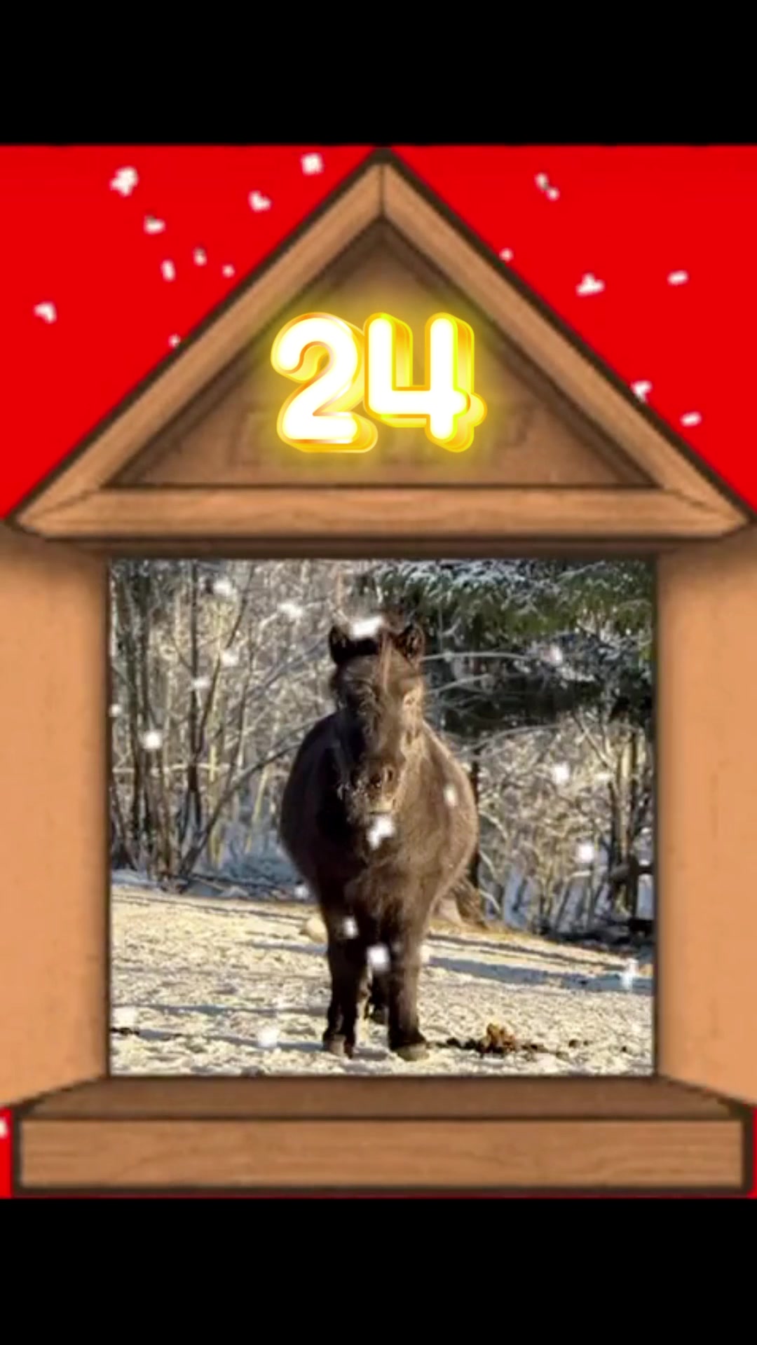 @Koivuniemen talli 🦄