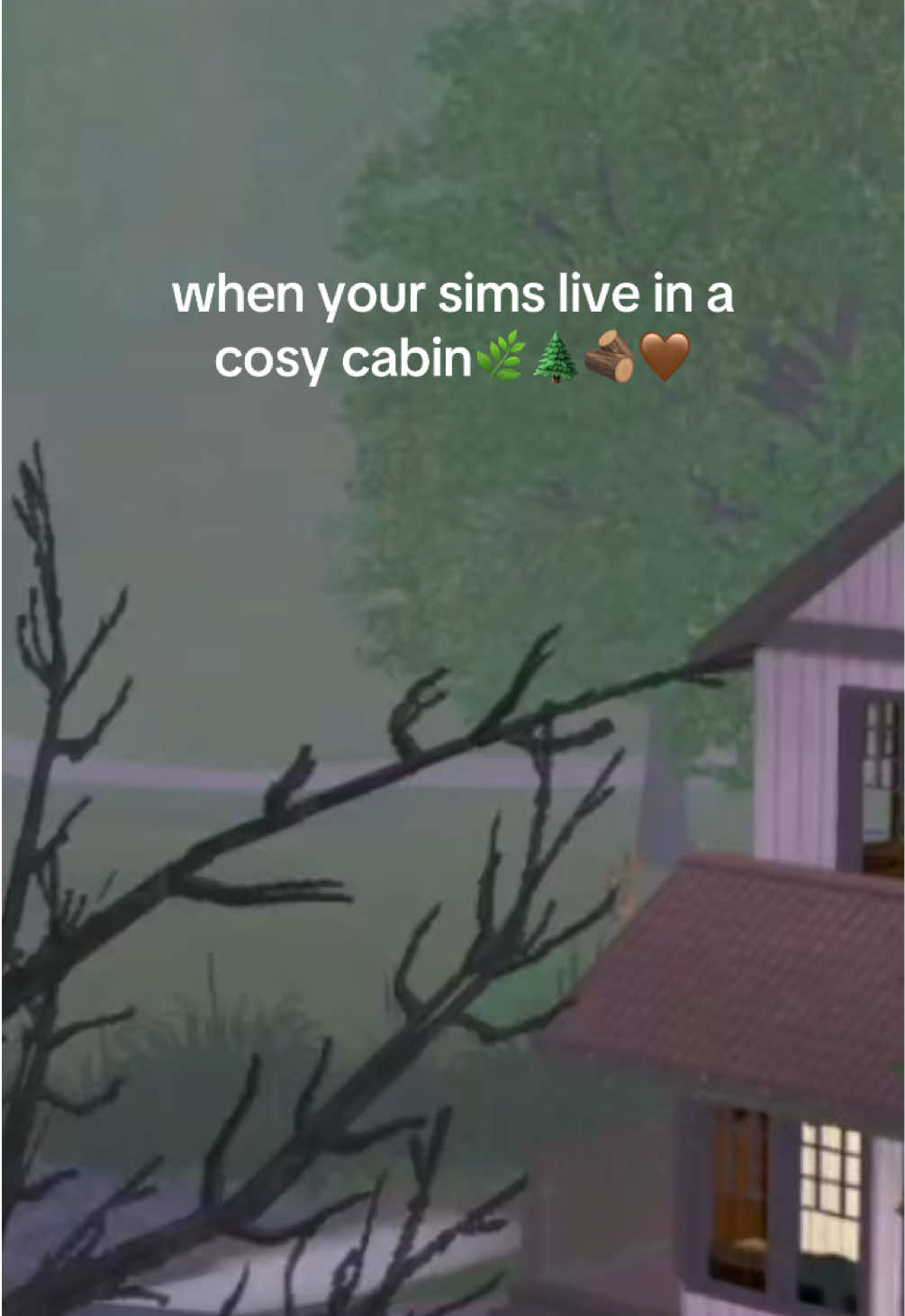 @simbrat ✦ sims 3 nostalgia