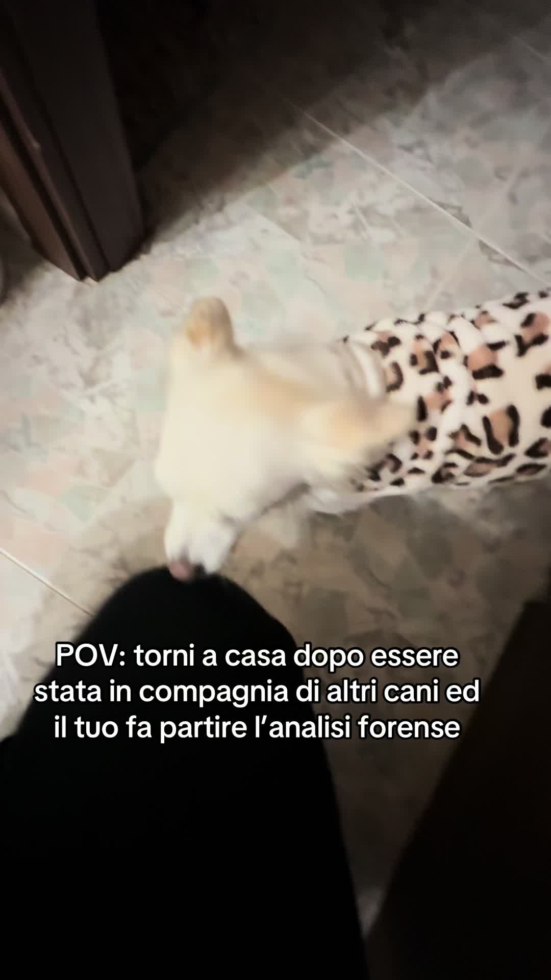 @シ
