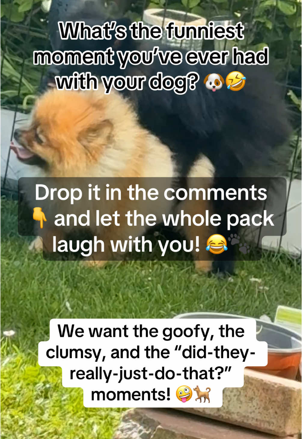 @Lylo