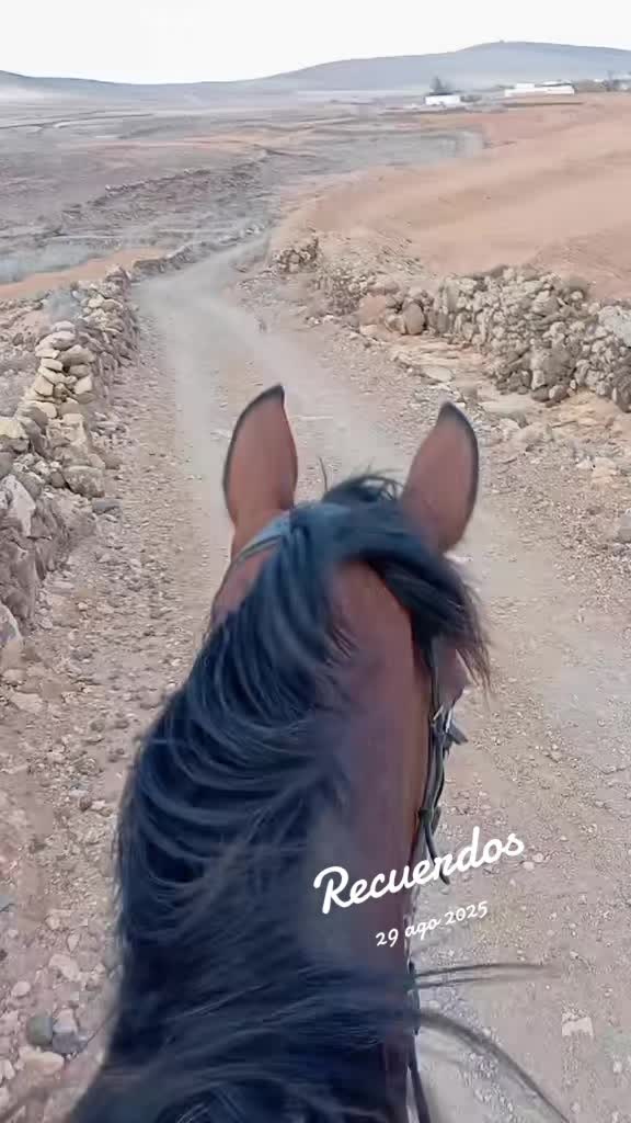 @Paula Ruiz Rabelo