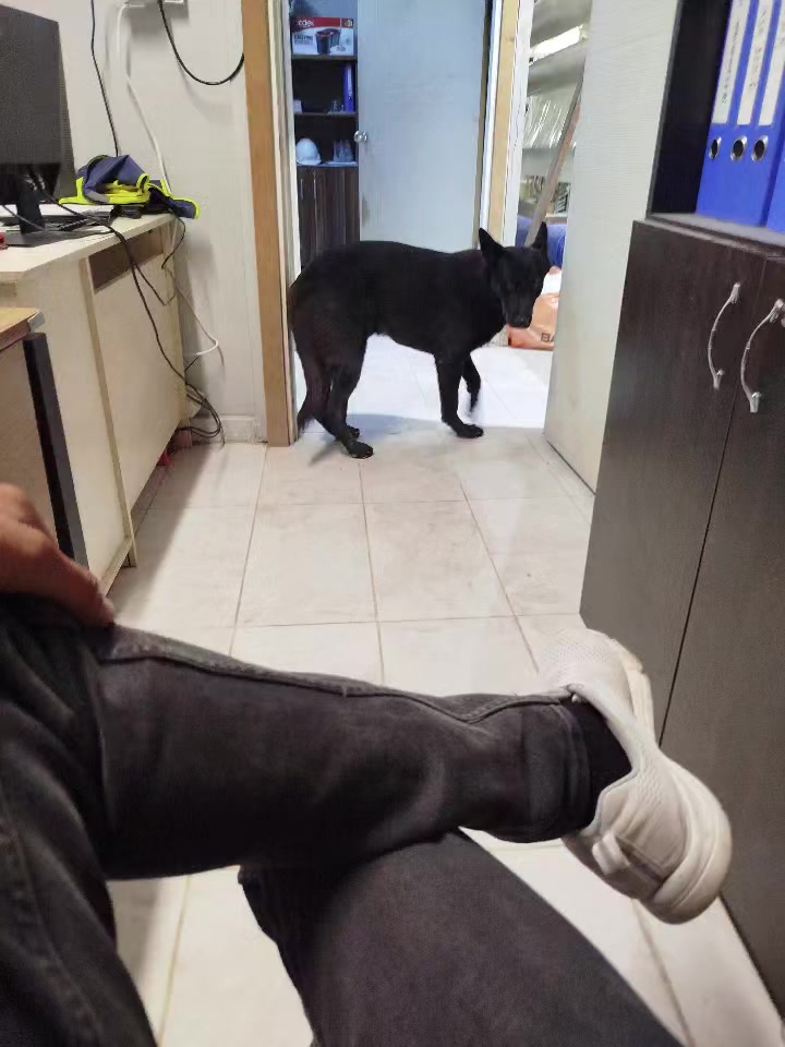 @Özkan Yörük