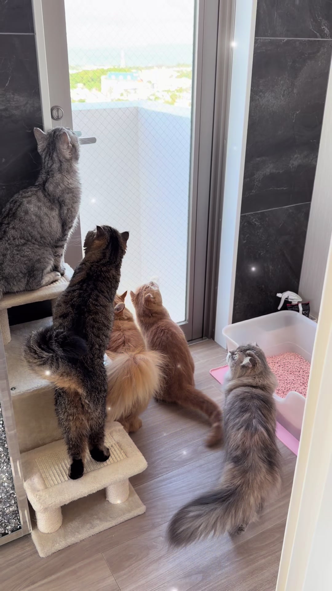 @🌈ピーター6🌈