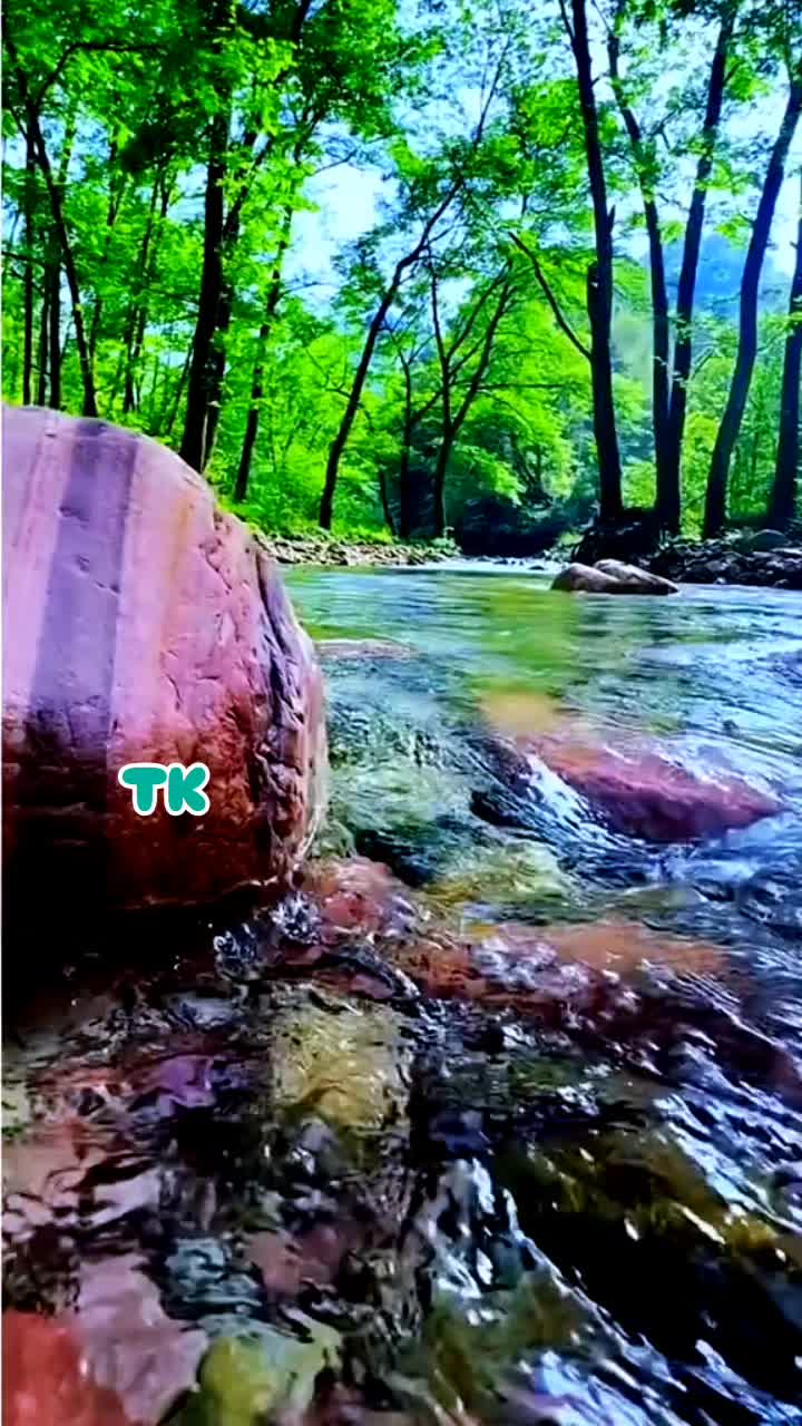 @❤️ TK ❤️