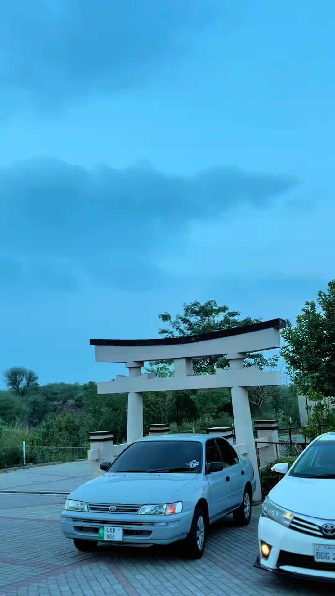 @چوہدری شیراں ⚜️