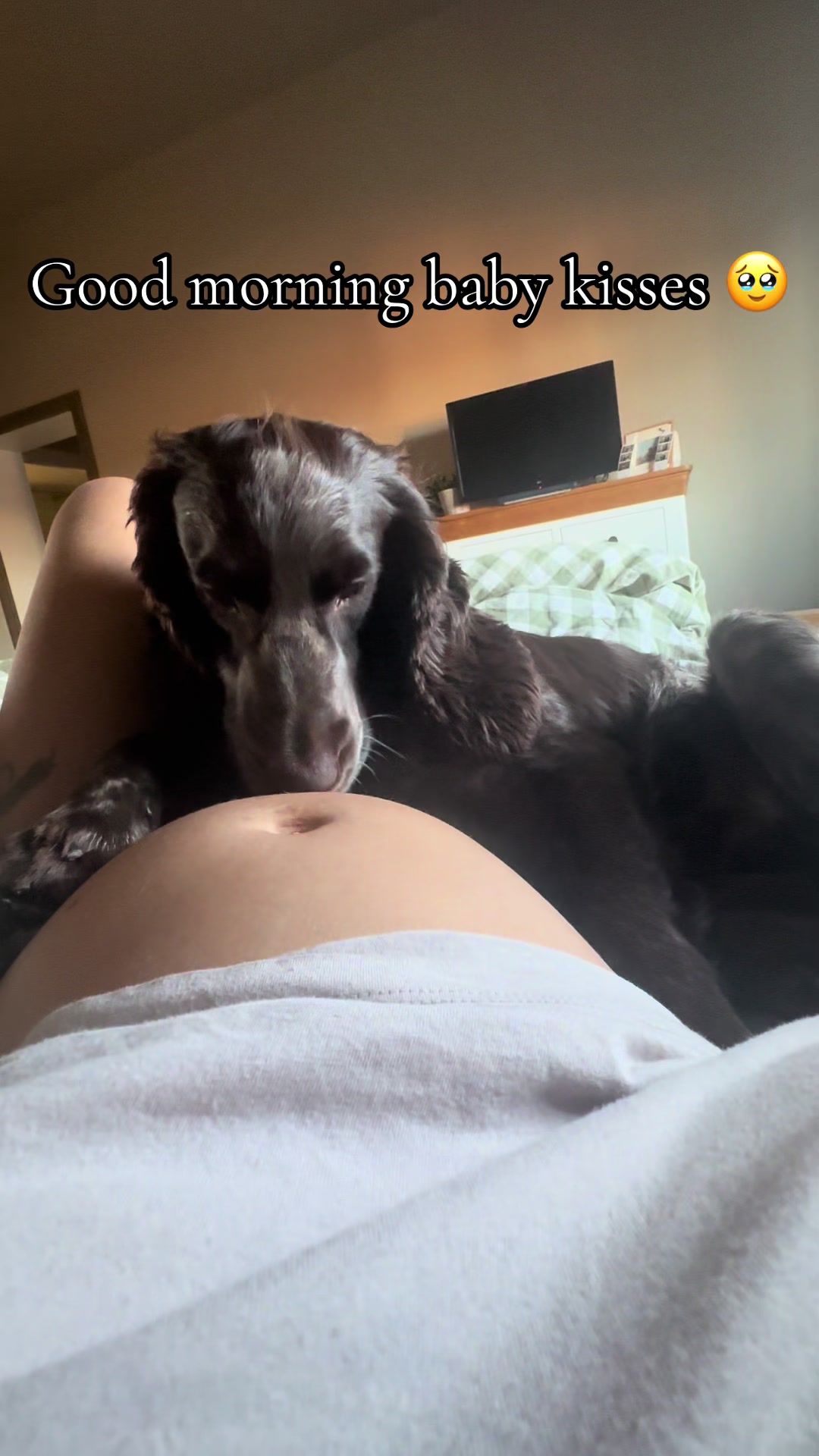 @powelloeliz