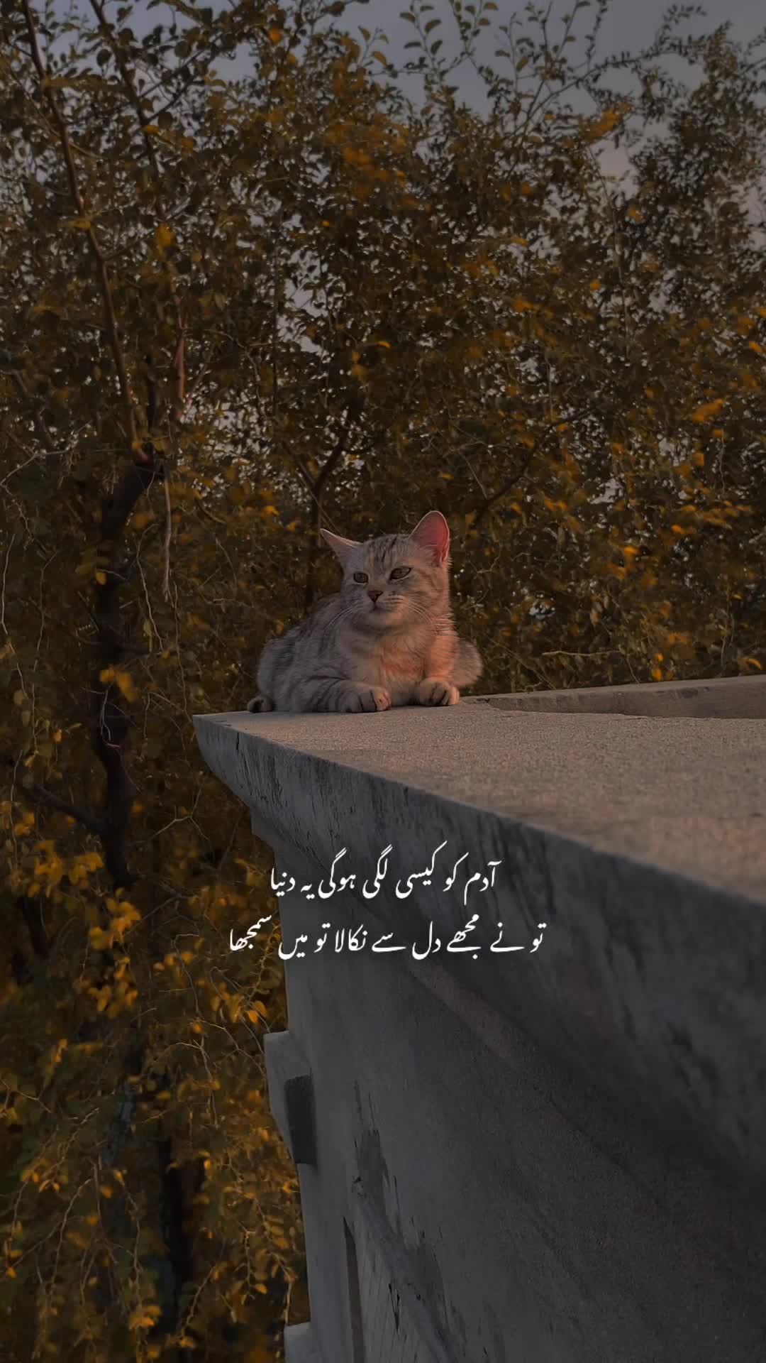 @𝙇𝙤𝙨𝙩 𝙎𝙤𝙪𝙡 🎭