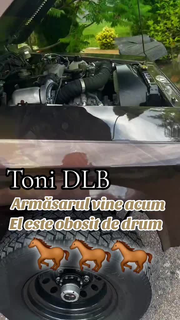 @🌹Lucian si Fanii Toni DLB🌹