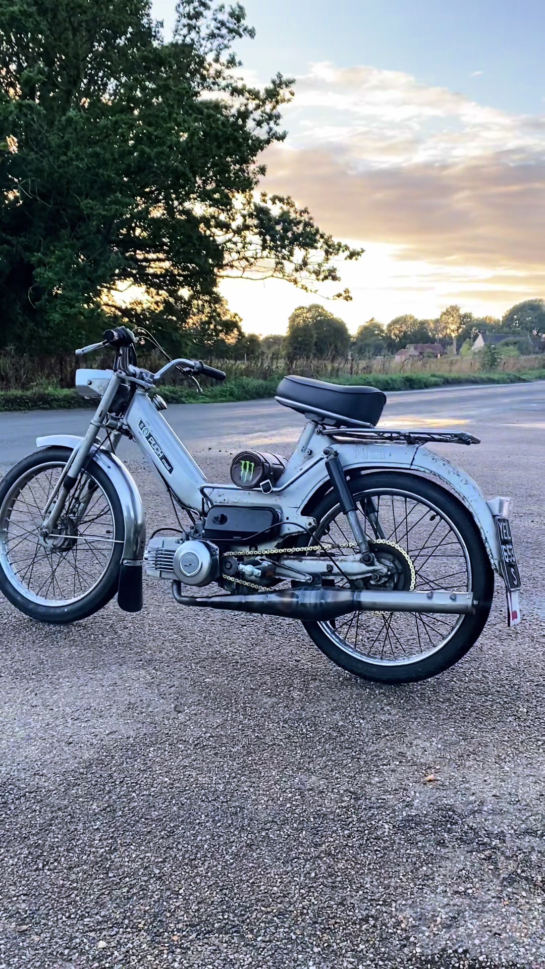 @꧁𓆩༺ ᴬˢʰˡᵉʸ༻𓆪꧂