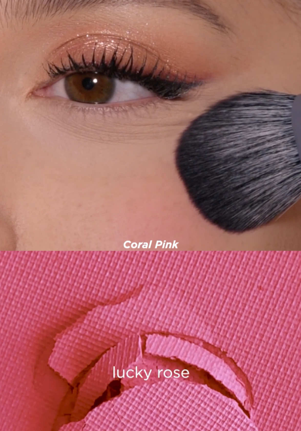 @NABLA Cosmetics