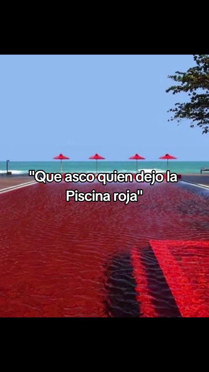 @Félix El Raves900