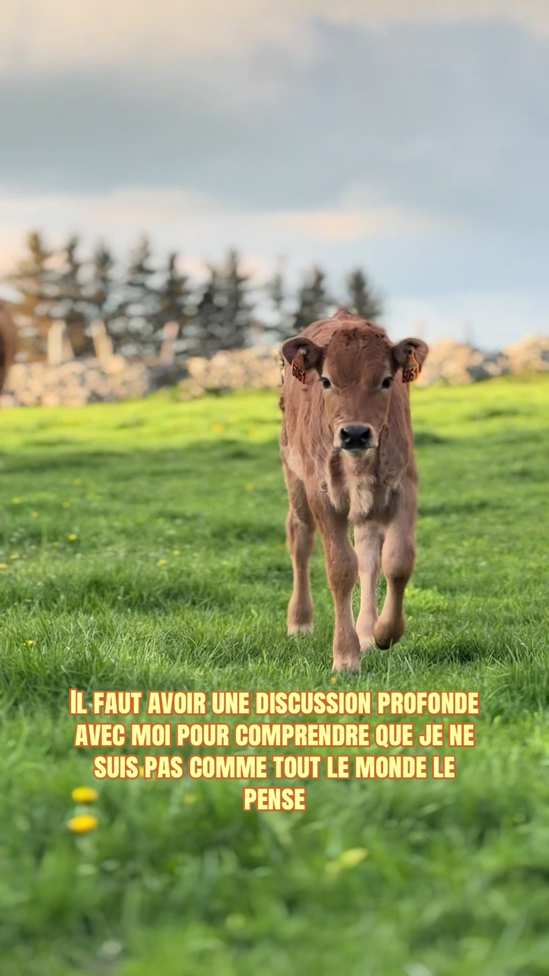 @𝐿𝑒𝓃𝒶👩🏼&zwj;🌾