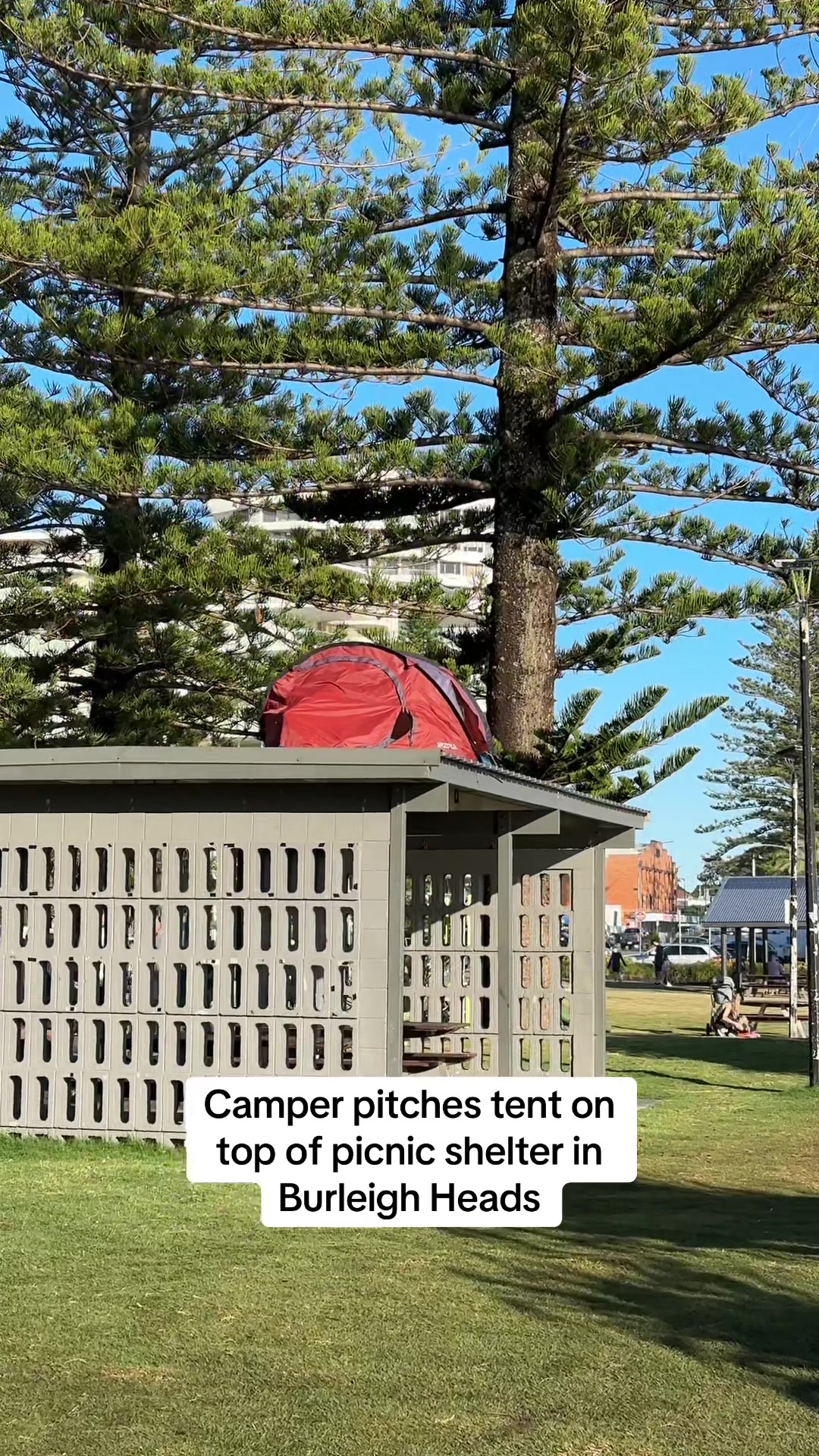 @Gold Coast Bulletin