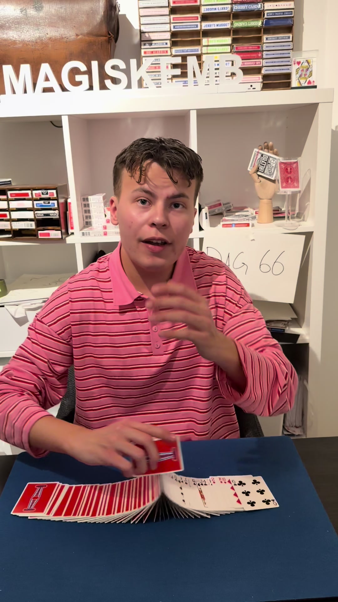 @MagiskeMB