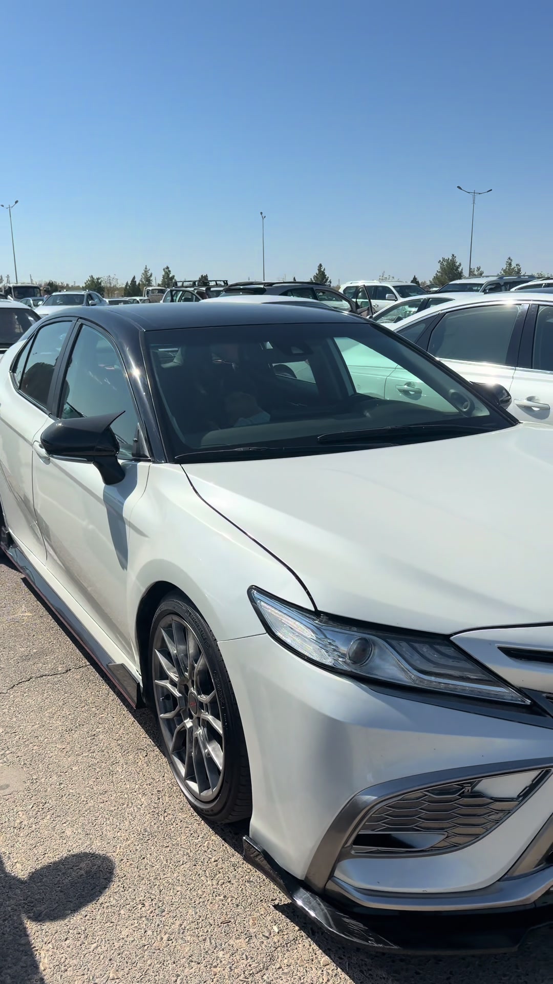 @Auto Cars . TM