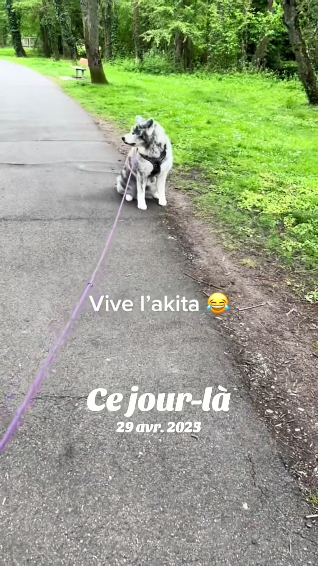 @Elisecyno