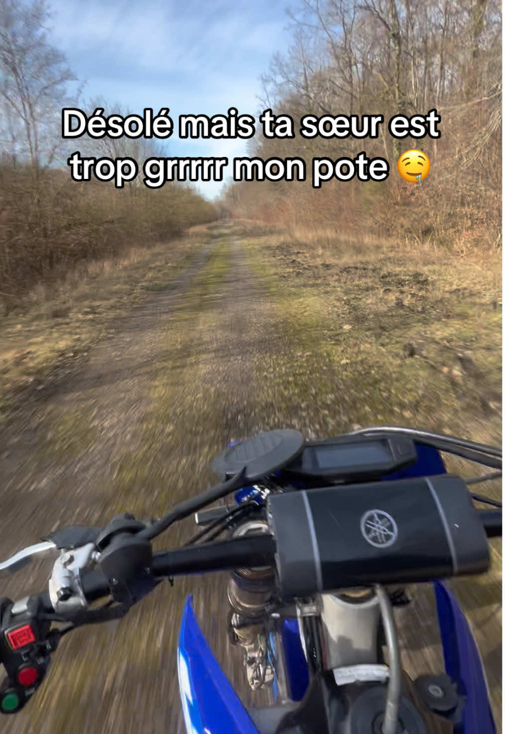 @Naoz.pov