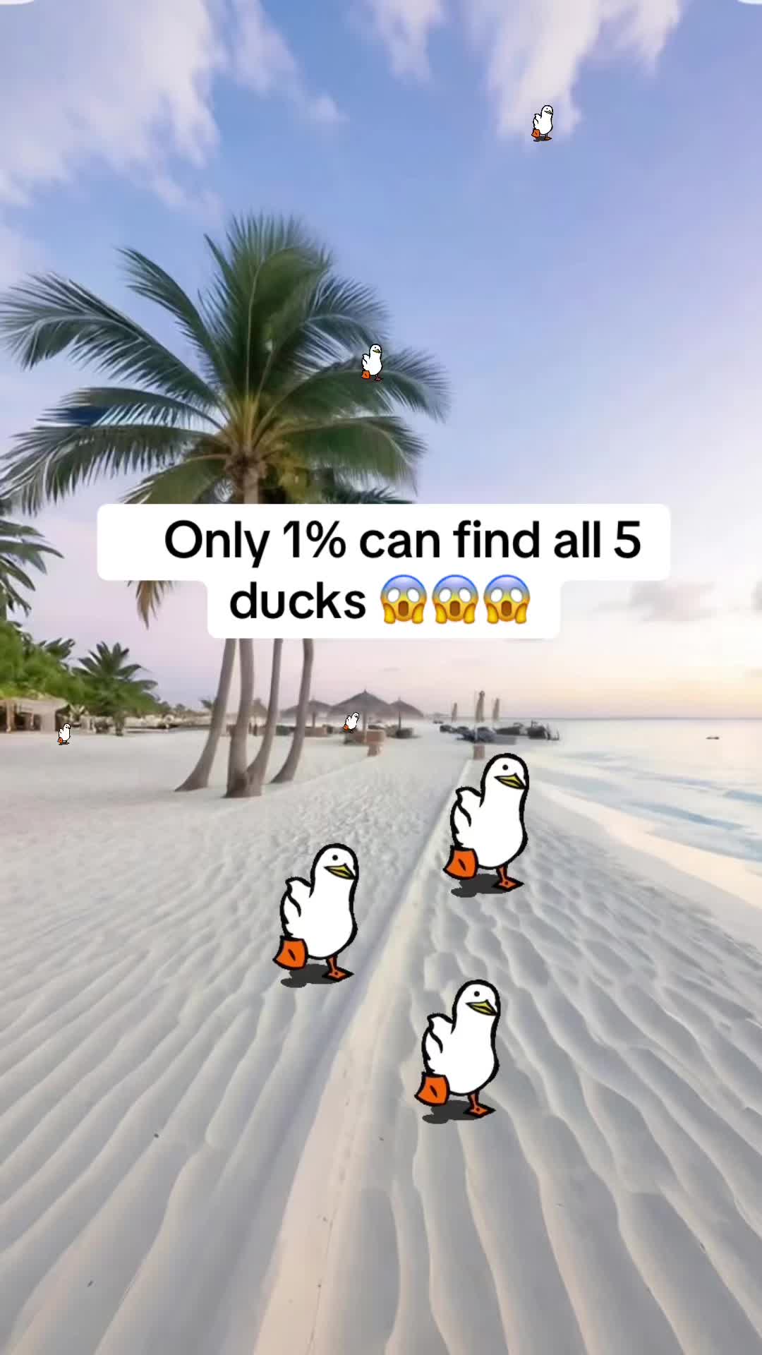 @smartwords0