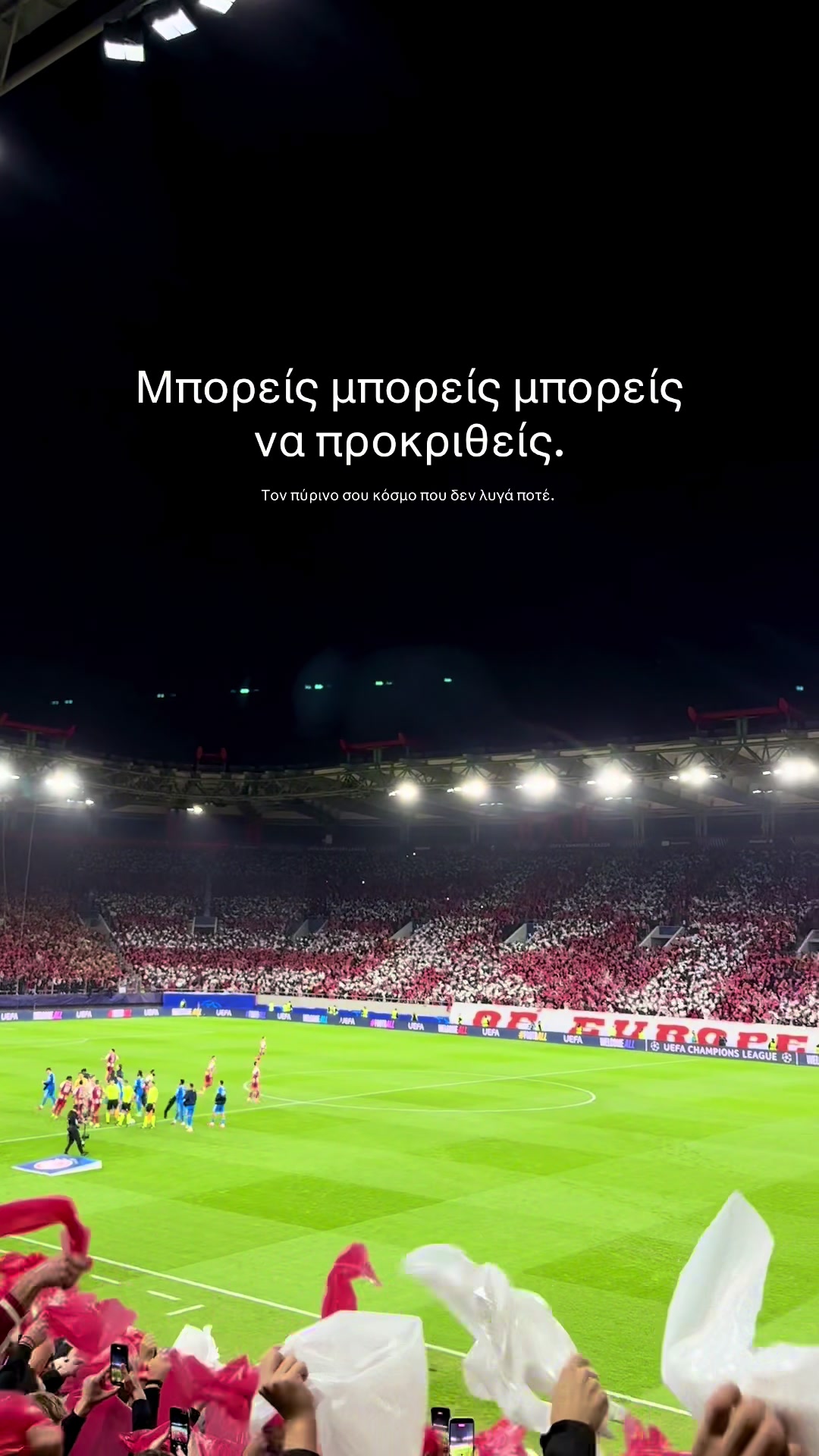 @AlexInRed🥊