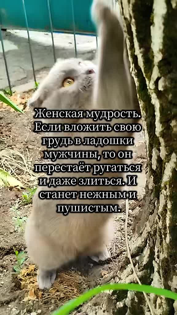 @🐈Масик&Андрей🥰