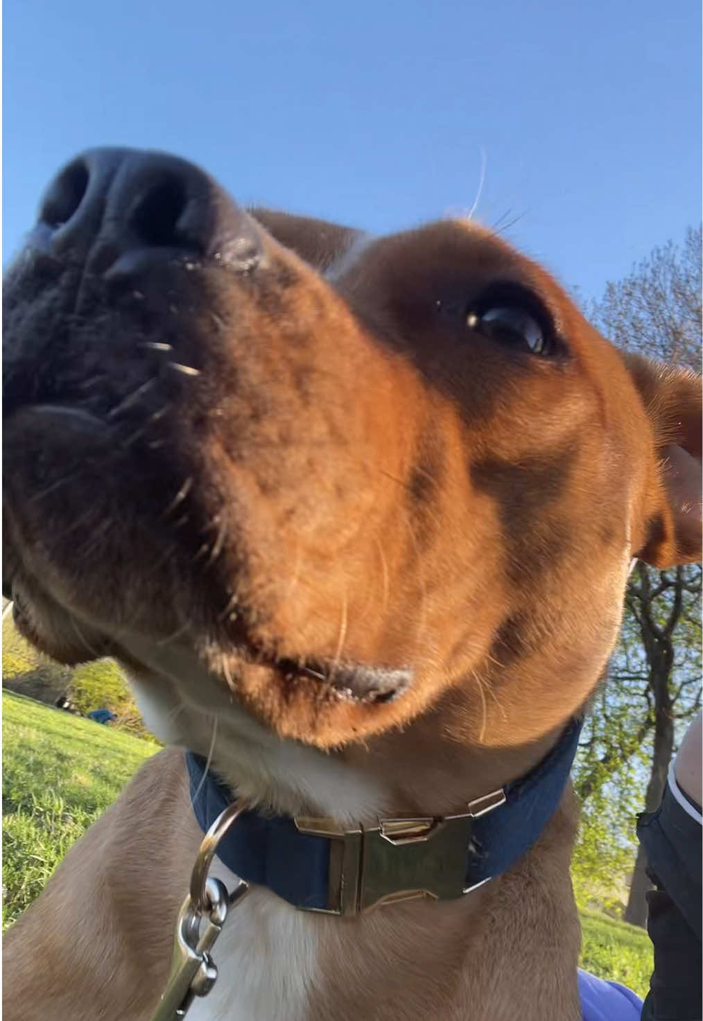 @Britney.paws🐾✨