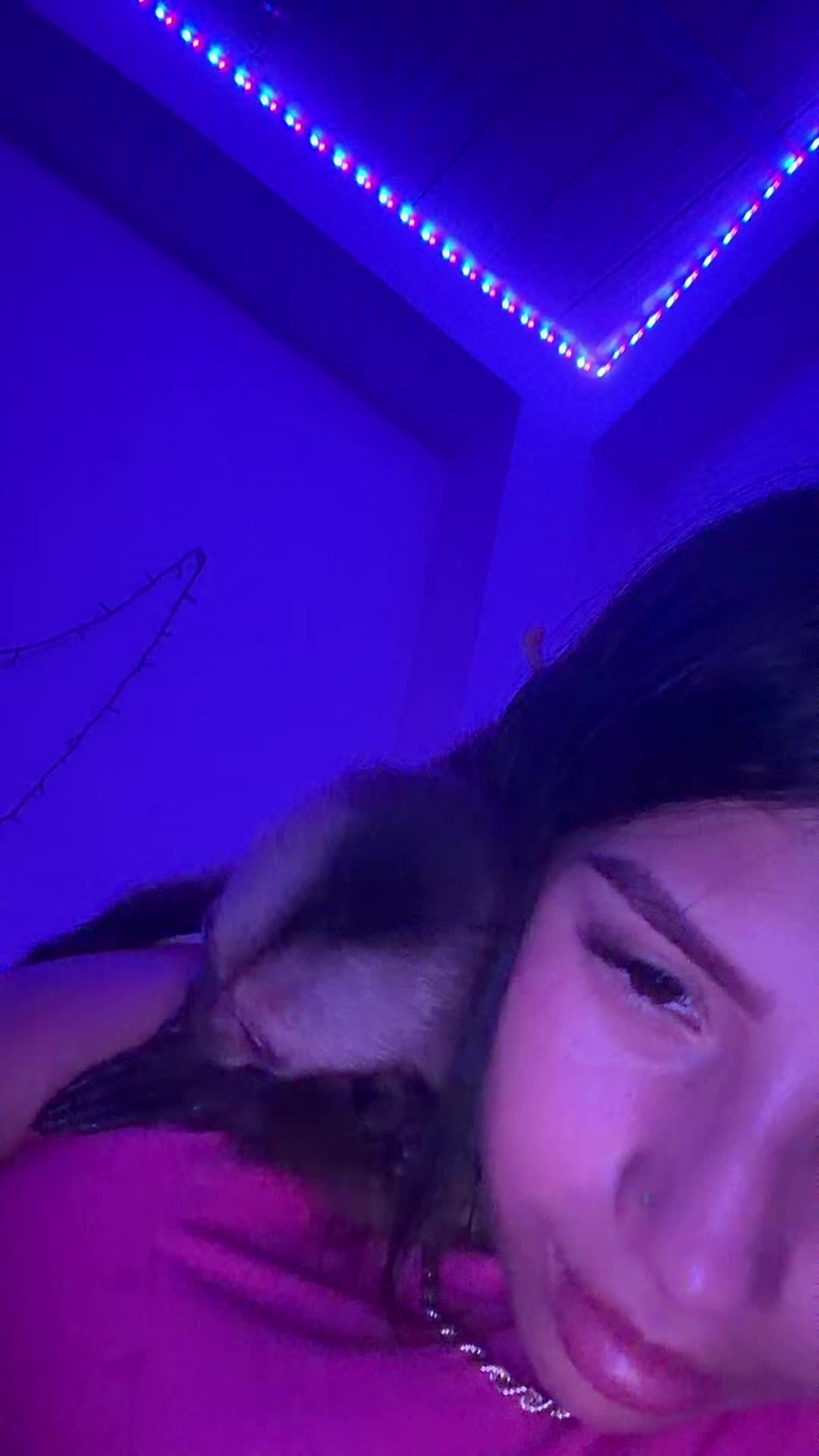 @zizi✨