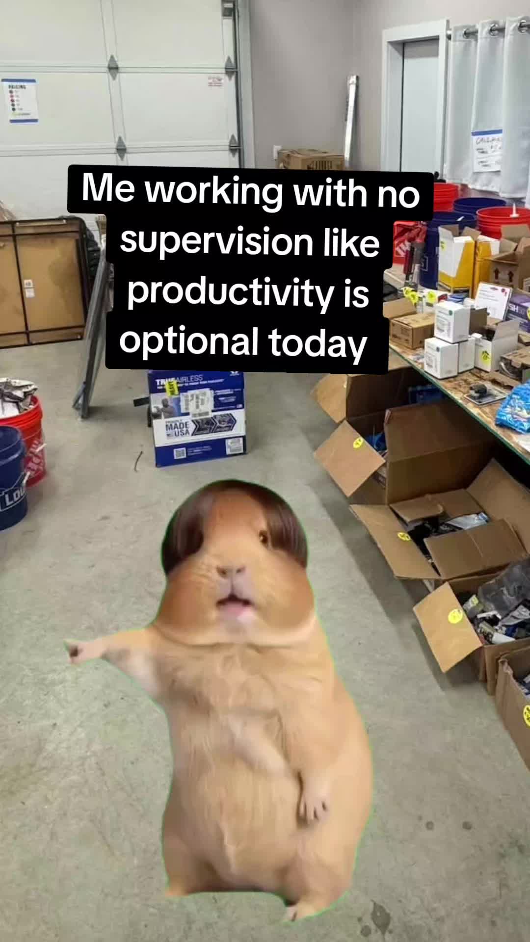 @Work memes