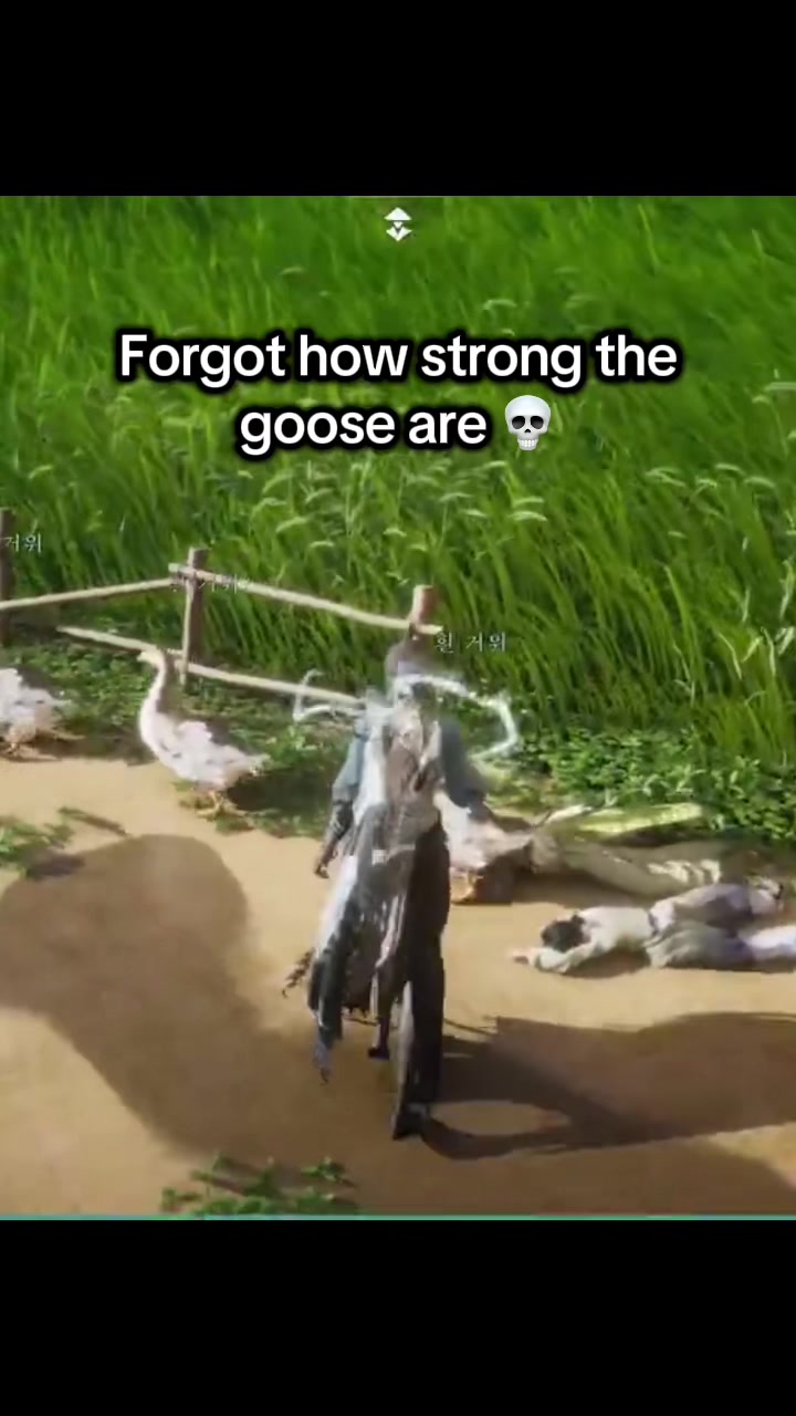 @z