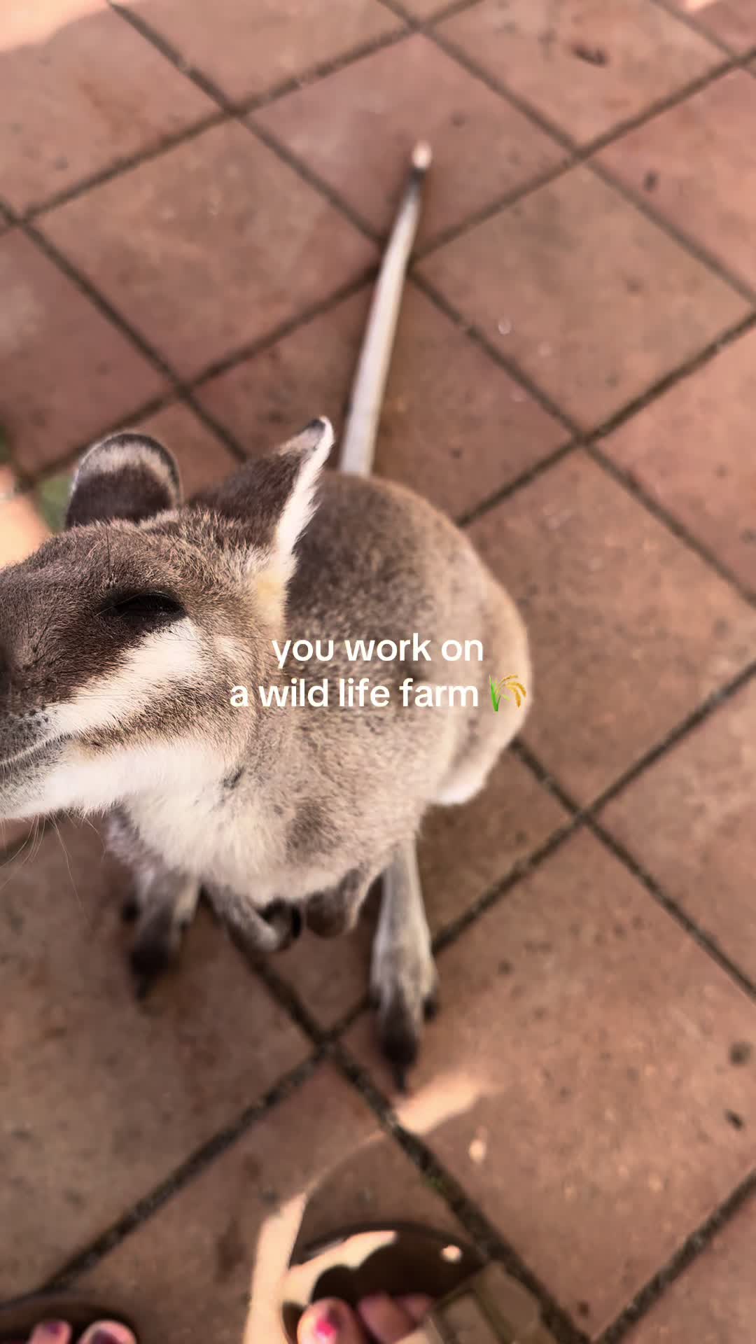 @Emily