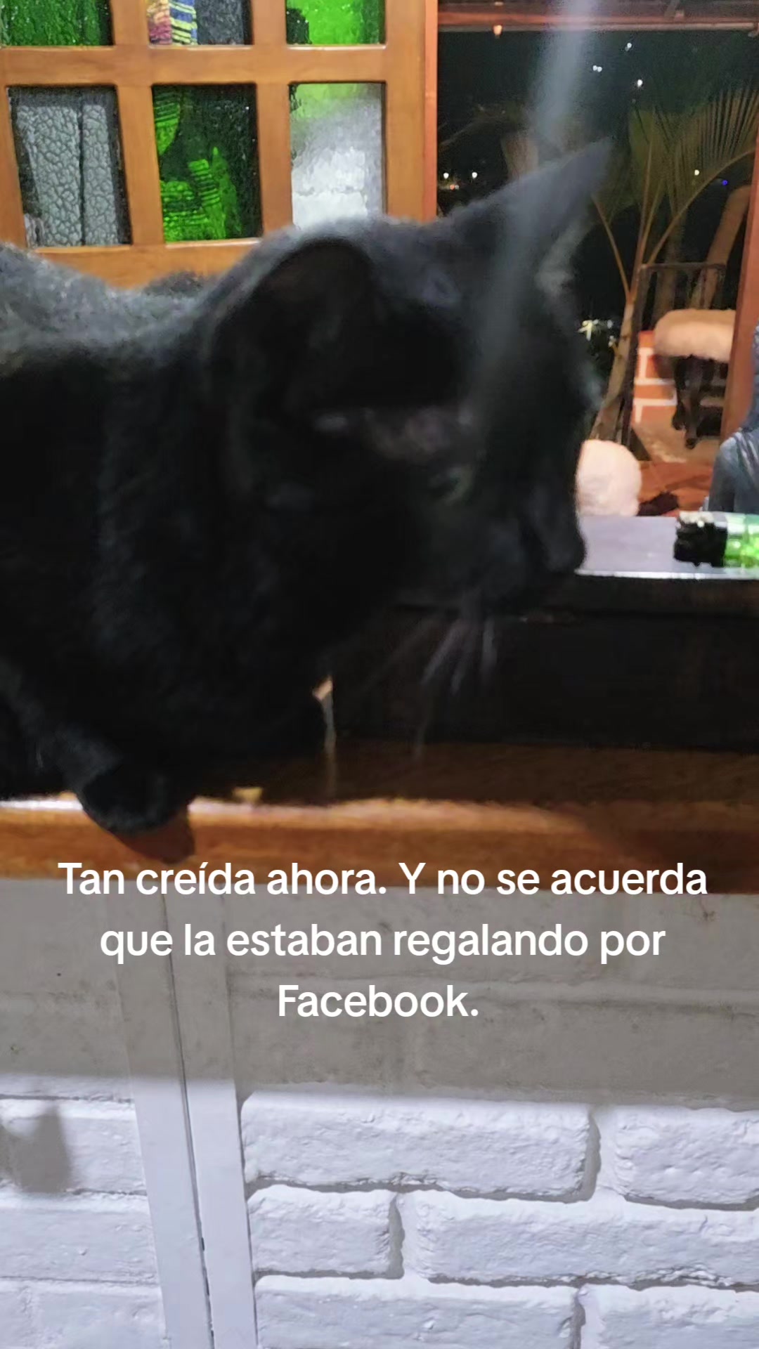 @tattoocultura