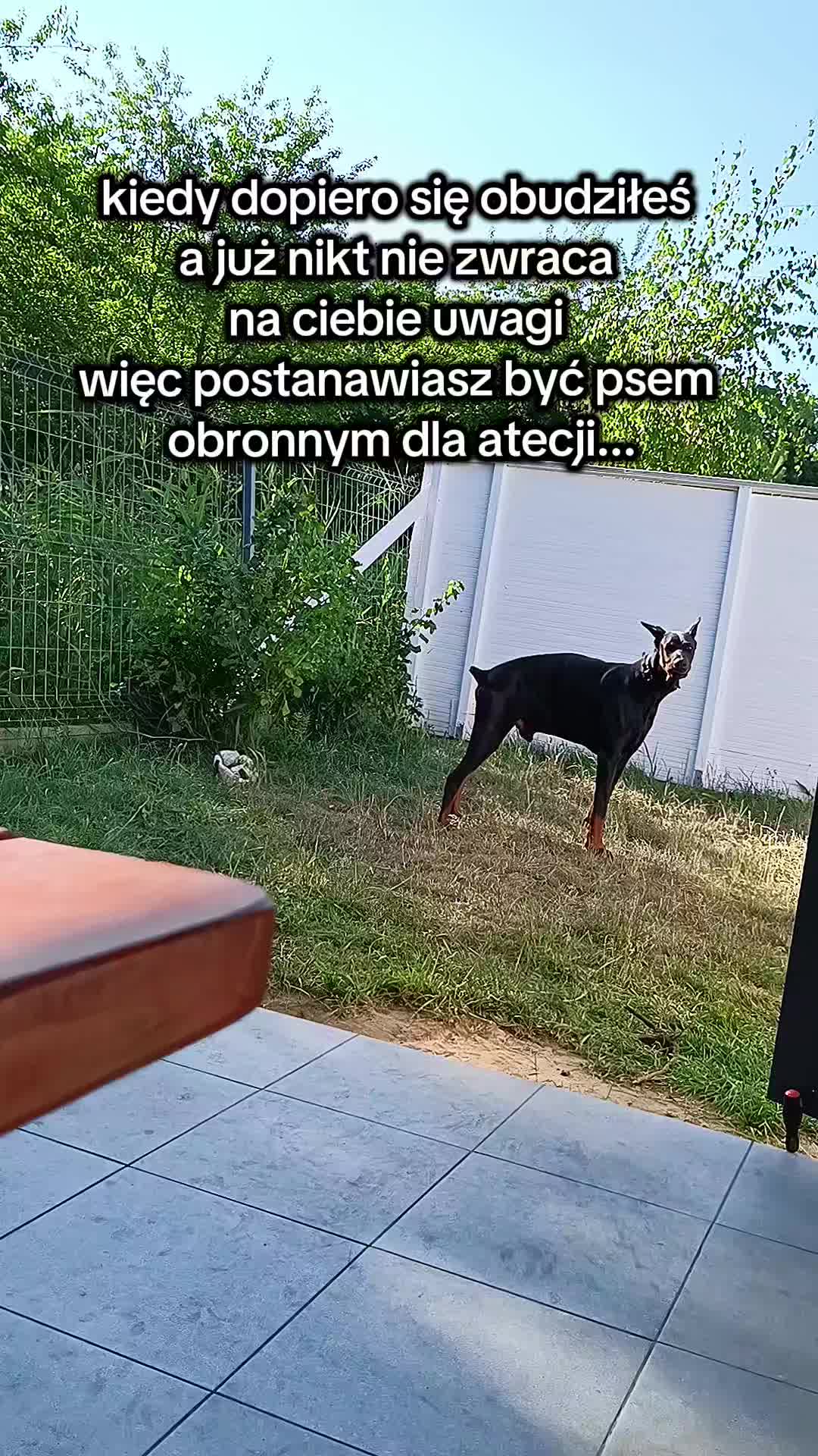 @🌪️ 𝗧 𝗔 𝗦 𝗠 𝗔 𝗡 🌪️