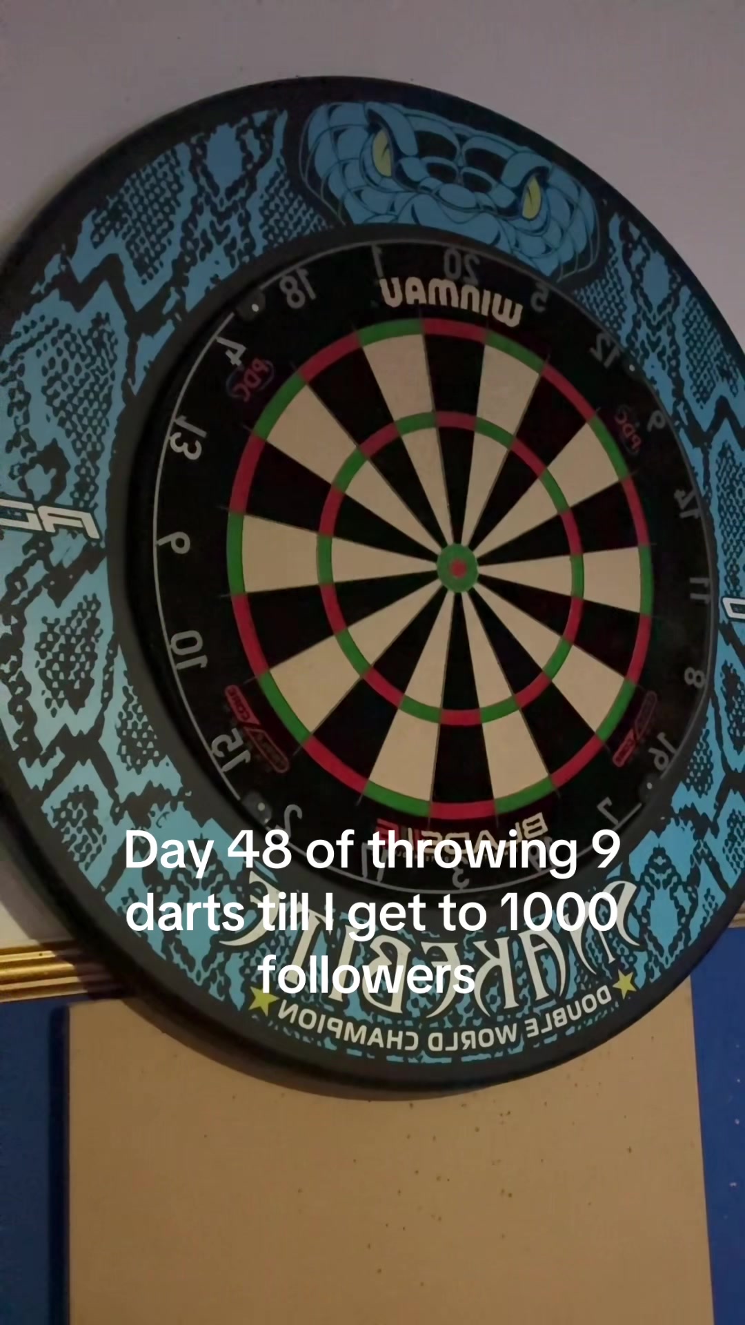 @ryan_darts2009