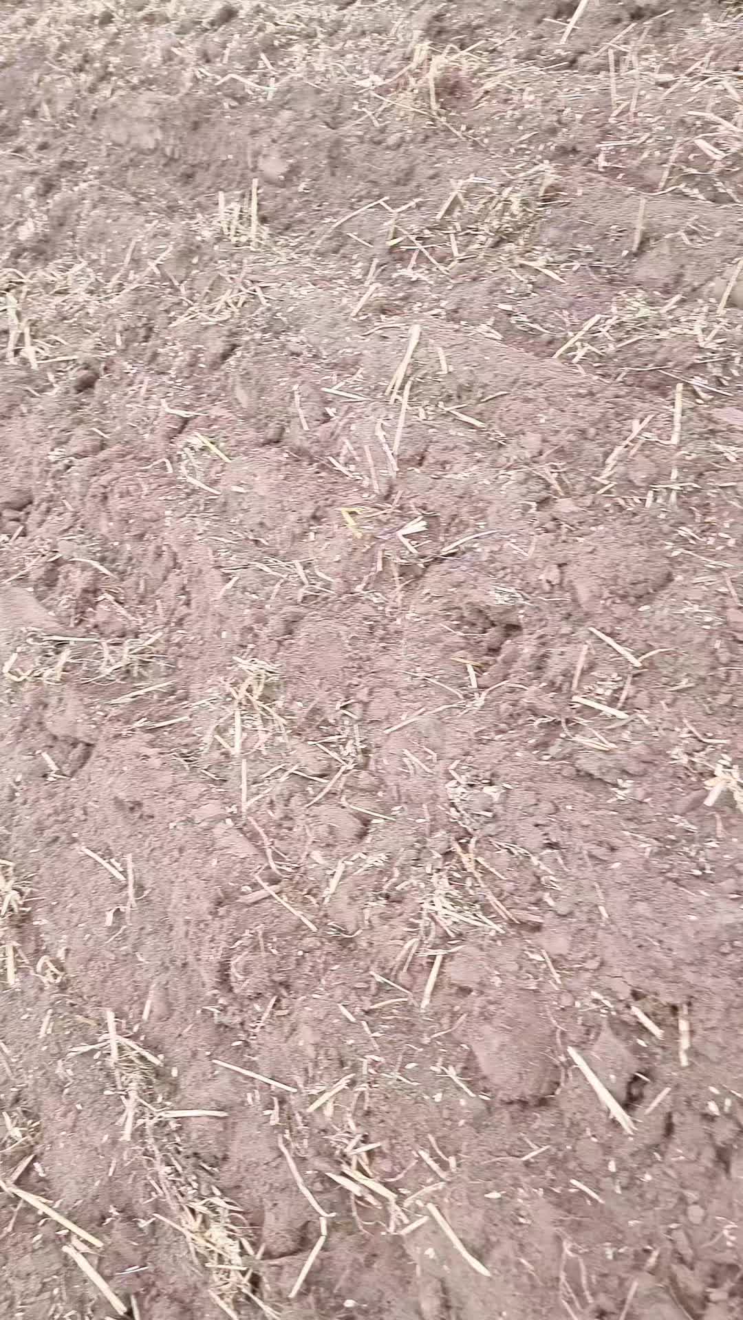 @Lantbruk är livet🚜🤠🌾