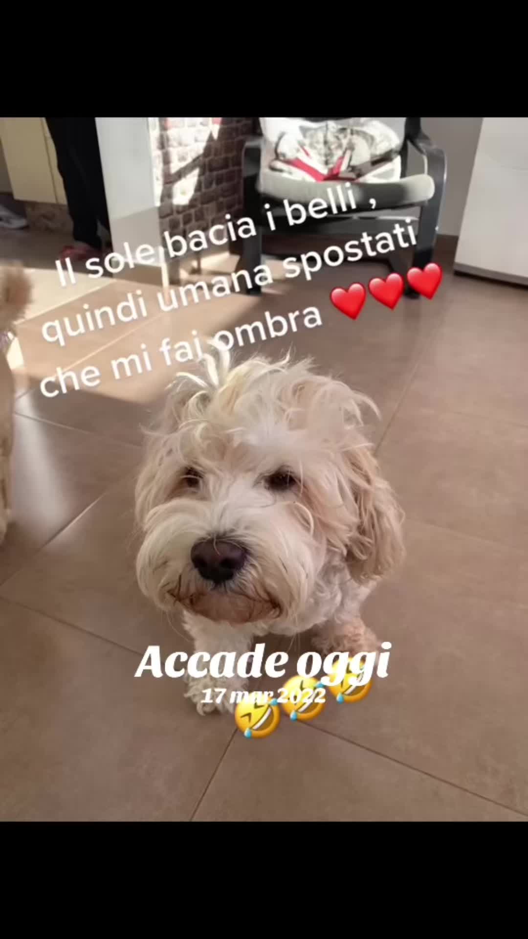 @Micina&mdash; annamaria