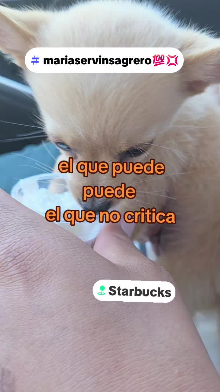 @💫Mary Servin Sagrero💫