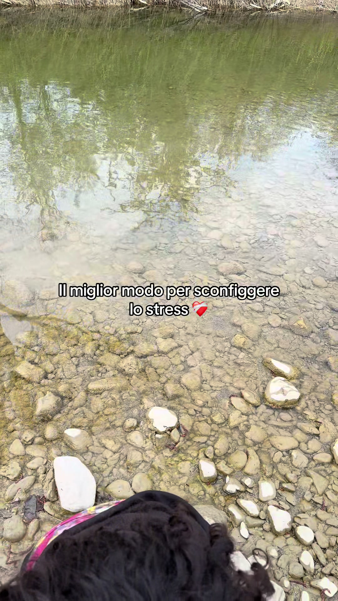 @Ele