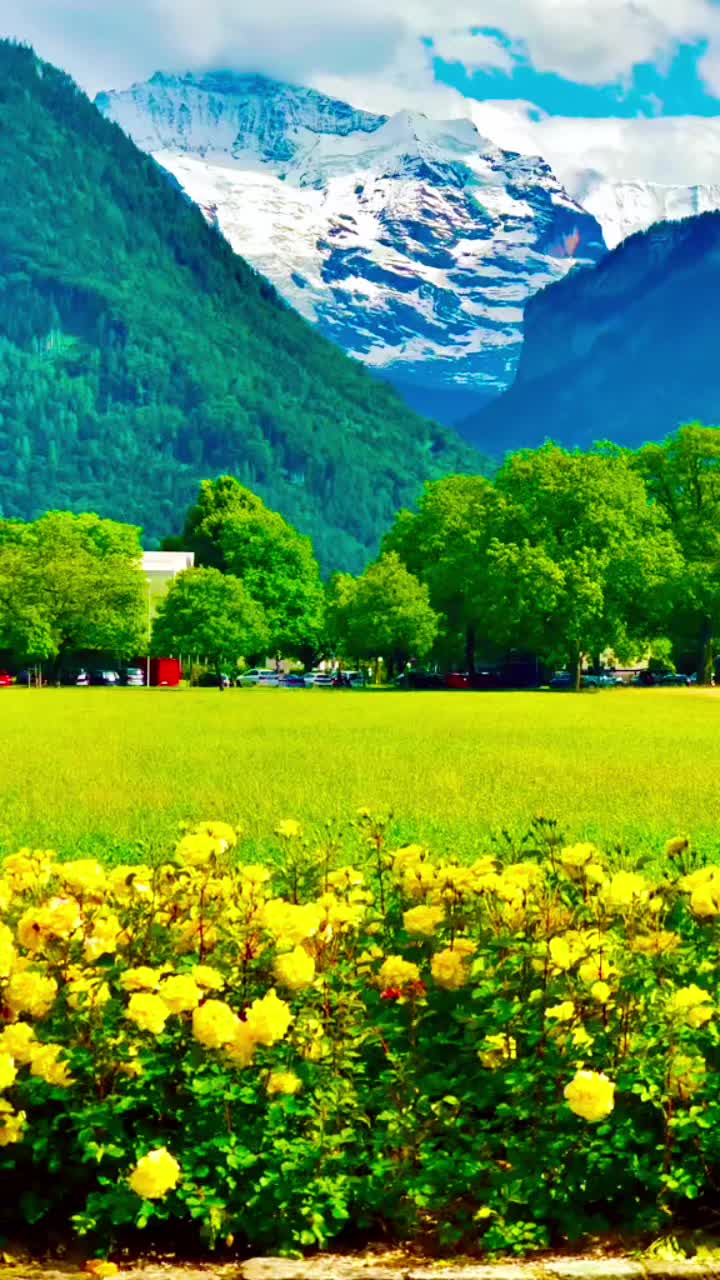 @Naheed Bazga