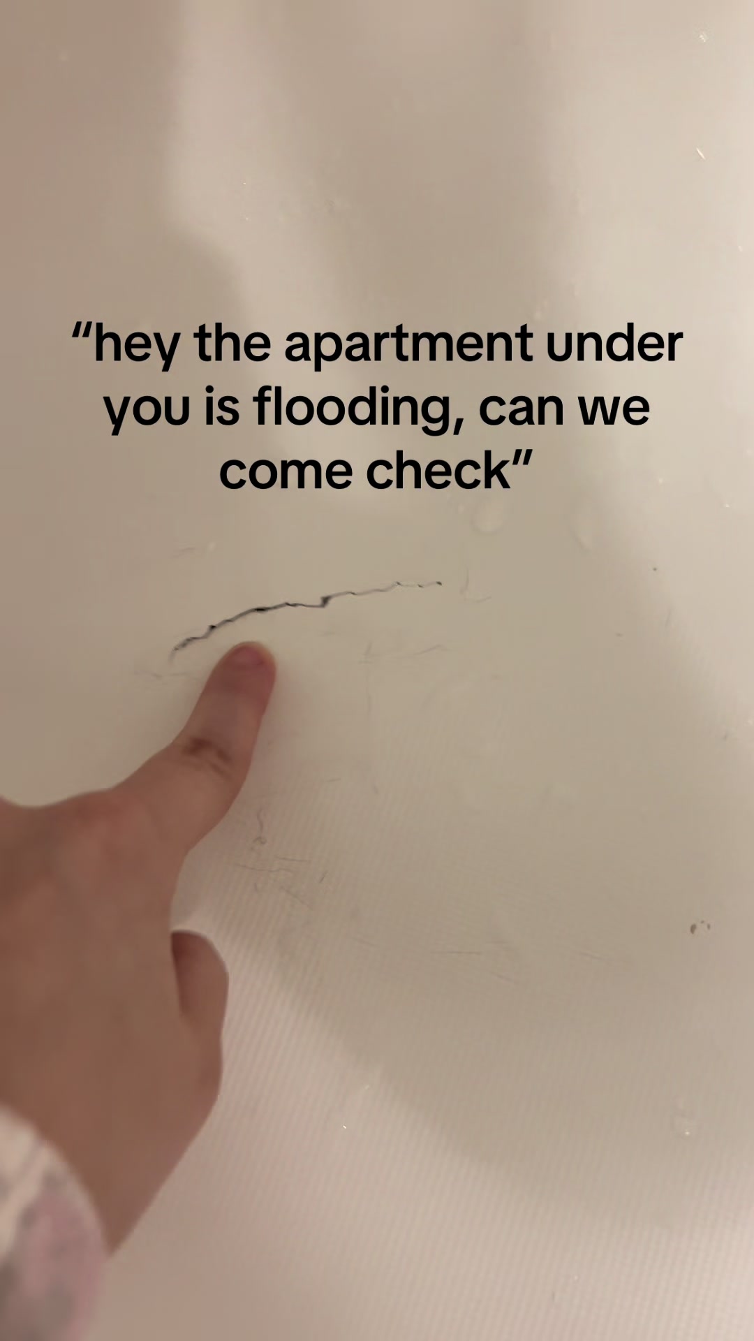 @lucy 🥄